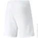 Puma teamRISE Short (704942-03-M) Puma teamRISE Short (704942-03-M)