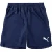 Puma teamRISE Short (704942-06-3XL)