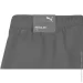 Puma teamRISE Short (704942-13-L)