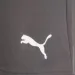 Puma teamRISE Short (704942-13-M)