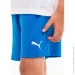 Puma teamRISE Short Jr (704943-02-152 )