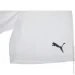 Puma  teamRISE Short   L 704942-03 L
