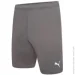 Puma  teamRISE Short   L 704942-13 L