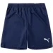 Puma  teamRISE Short -  M 704942-06 M