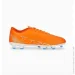 Puma Ultra Play Fg/Ag (107224-01-44.5)