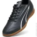 Puma VITORIA IT (107485-01-42.5)