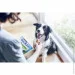  Purina DentaLife Medium     115 
