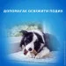  Purina DentaLife Medium     115 