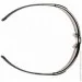   Pyramex   Ever-Lite (clear) Anti-Fog, 