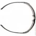   Pyramex    Ever-Lite Photochromic (clear)  