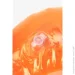 -  (YYRBQ-02)