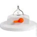 ˳   Quantum QM-FL3012 Mate LED +  Micro USB    (QM-FL3012)