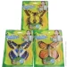 Qunxing Toys      NS-7
