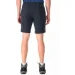 RAB Momentum Shorts   (Beluga, 30 (9)) (RB QFV-29-BEL-30-09)