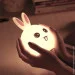 Rabbit  .   -   ,   , (1756375328)