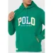  Ralph Lauren Logo Hoodie (710890190004-S)