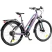  Ranger Lady 820L Purple