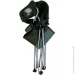 Ranger   River Forest Green (1110-RA2204)