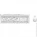  (  ) Rapoo 8210 white