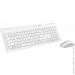  (  ) Rapoo 8210 white