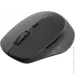  Rapoo M300 Grey