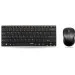  (  ) Rapoo Wireless Optical Combo (9020)