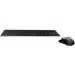  (  ) Rapoo Wireless Optical Combo (9020)