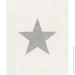 Rasch      Tapetenwe 809329 0,53x10,05 
