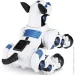 Rastar - (77900)