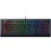  Razer Cynosa V2 (RZ03-03400700-R3R1)