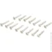 RDA   48022 Eurocento 125x2,5   