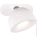   Reality Maxima (R57791101)