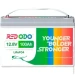    Redodo LiFePO4 12V 100Ah