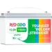    Redodo LiFePO4 12V 100Ah