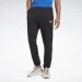   Reebok Linear Logo Ft Jogger Trouser (FP9130-S)