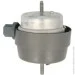   Reinhoch RH11-0141 (RH110141)