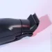   Remington PG2120