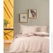 Renovation Of Home    Plaist DF /  200220  (35531)