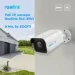   IP  Reolink P430 (RLC-811A)