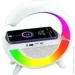        BT2301 RGB   | G   (2032993049)
