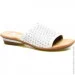    Rieker .36 , (069986-36)