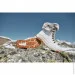    Rieker Evolution .39  (013709-39)