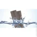 Rigid Core   (SPC) Max 22     33/5 5  (29036-2)