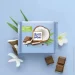 Ritter Sport     -  100 