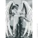 Riviera Blanca    - 28x40  (RB-0114)