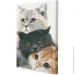Riviera Blanca     28x40  (RB-0172)