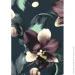 Riviera Blanca      28x40  (RB-0599)