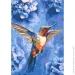 Riviera Blanca      28x40  (RB-1089)