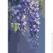 Riviera Blanca      28x40  (RB-1108)