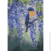 Riviera Blanca        28x40  (RB-1109)